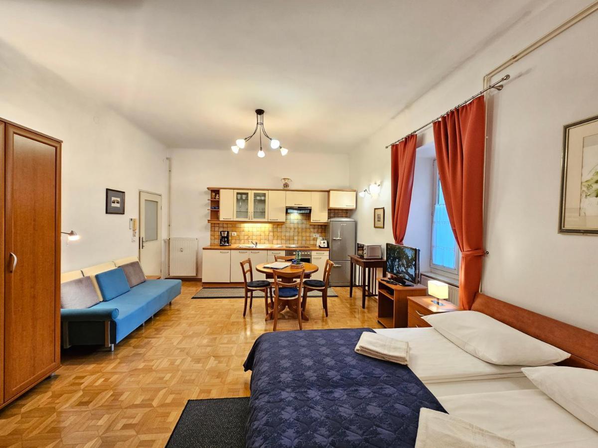 Spacious Central Studio Nika 2 Tour As Любляна Экстерьер фото